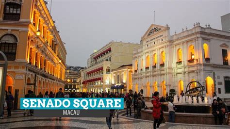 free shuttle bus to senado square|Senado Square and Saint Paul Ruins from Venetian .